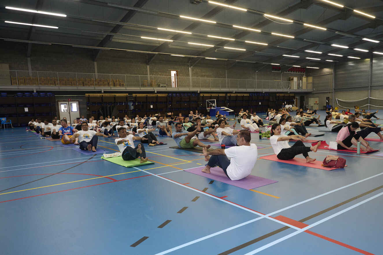 VEDIC YOGA by REETU MEHTA