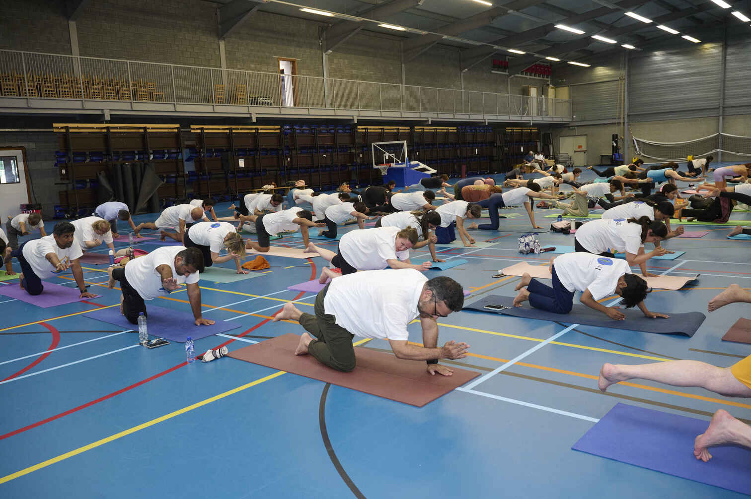 VEDIC YOGA by REETU MEHTA