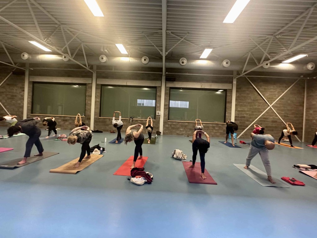 VEDIC YOGA by REETU MEHTA