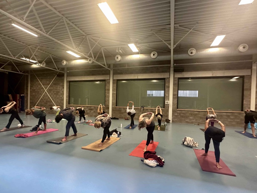 VEDIC YOGA by REETU MEHTA