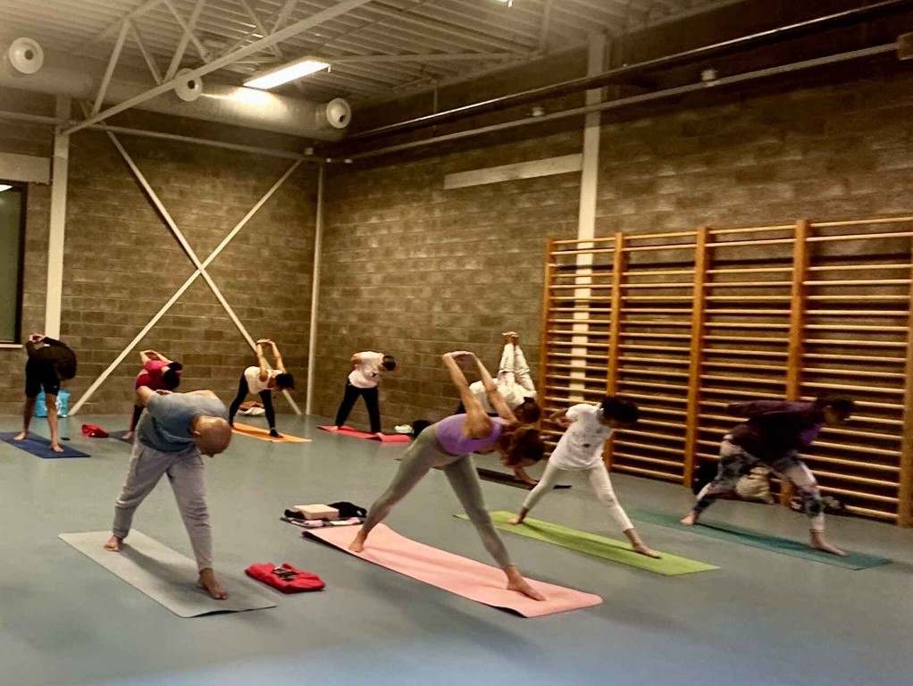 VEDIC YOGA by REETU MEHTA