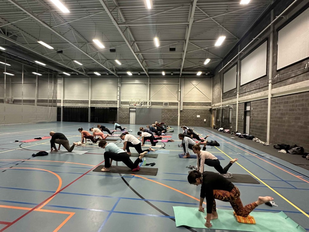 VEDIC YOGA by REETU MEHTA