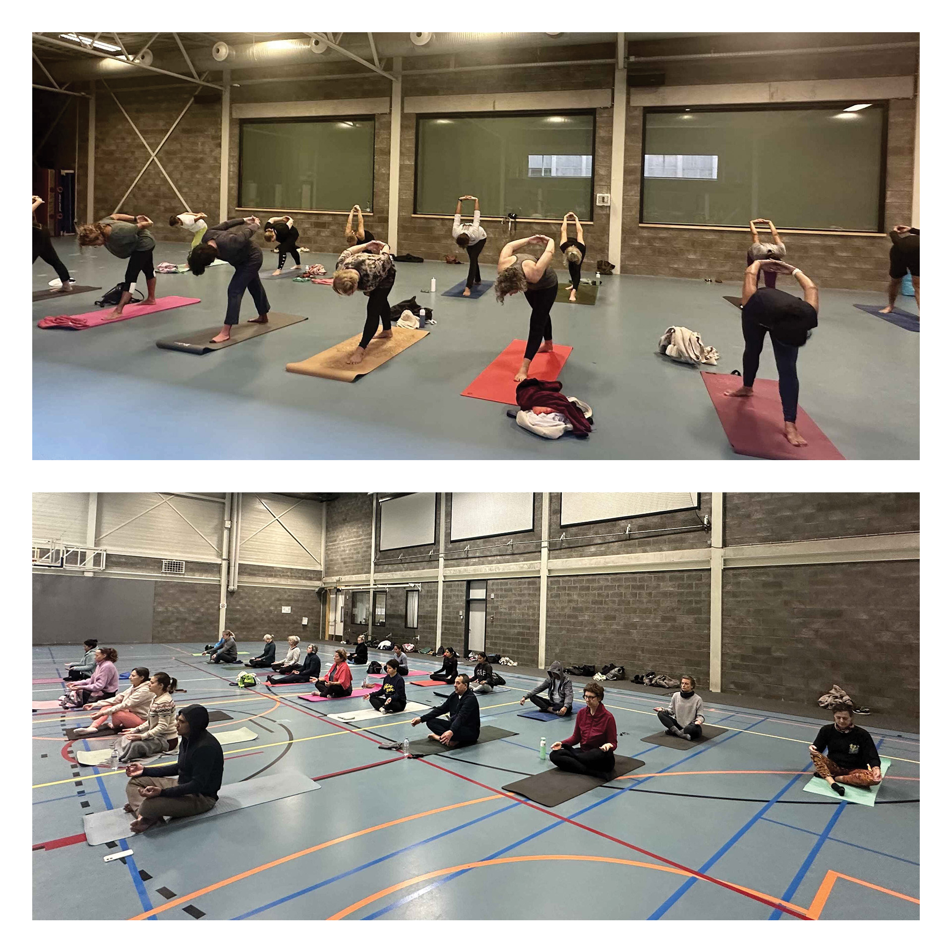 VEDIC YOGA by REETU MEHTA